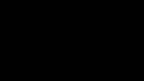 33804