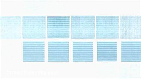 9255