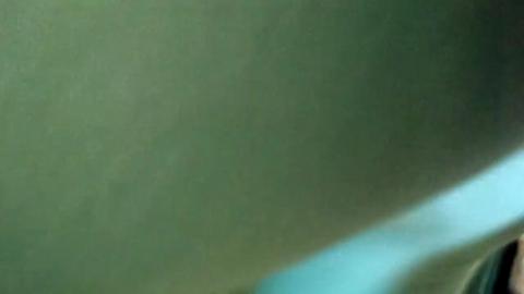 3198