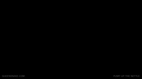 26499